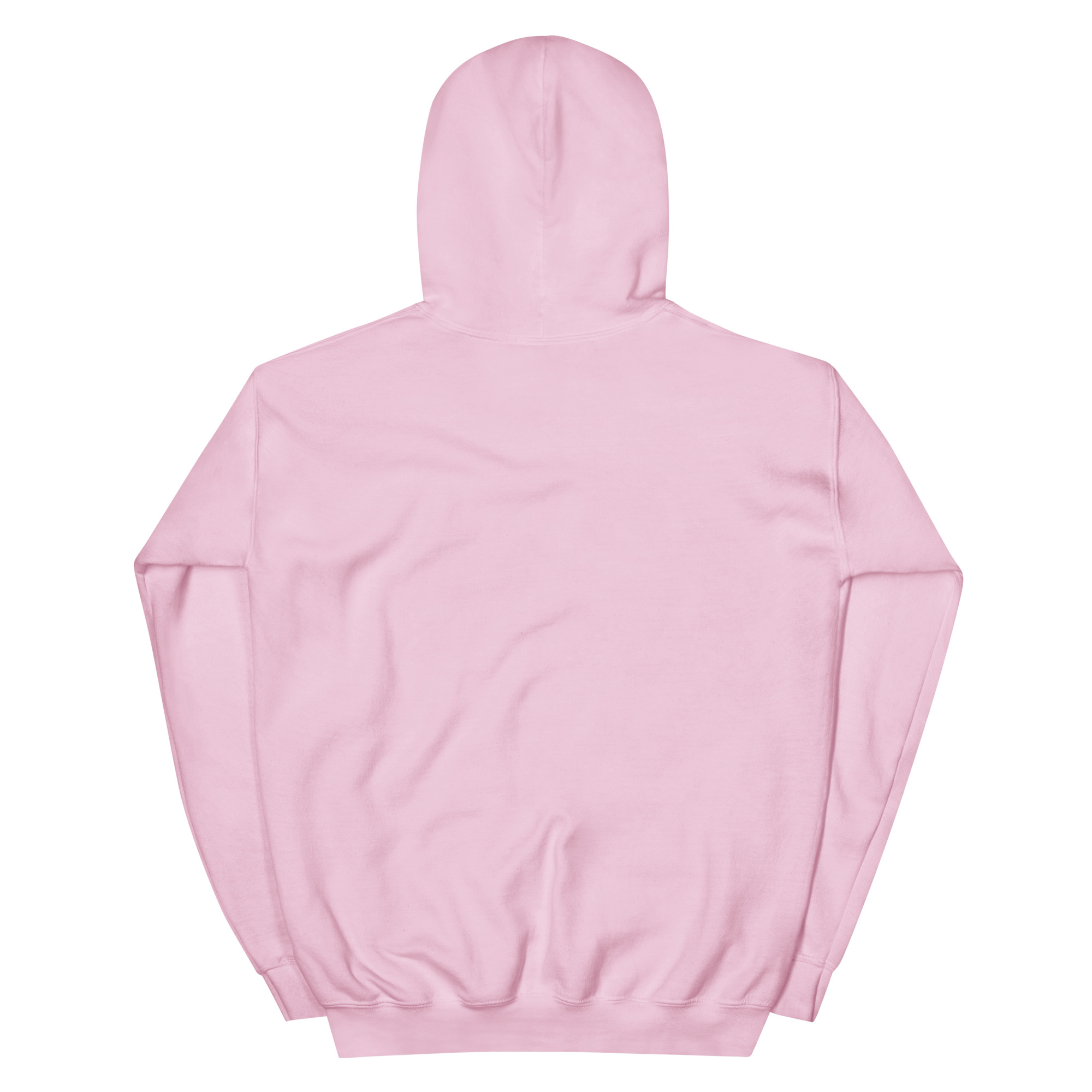 unisex-heavy-blend-hoodie-light-pink-back-68f3aec144a93.jpg