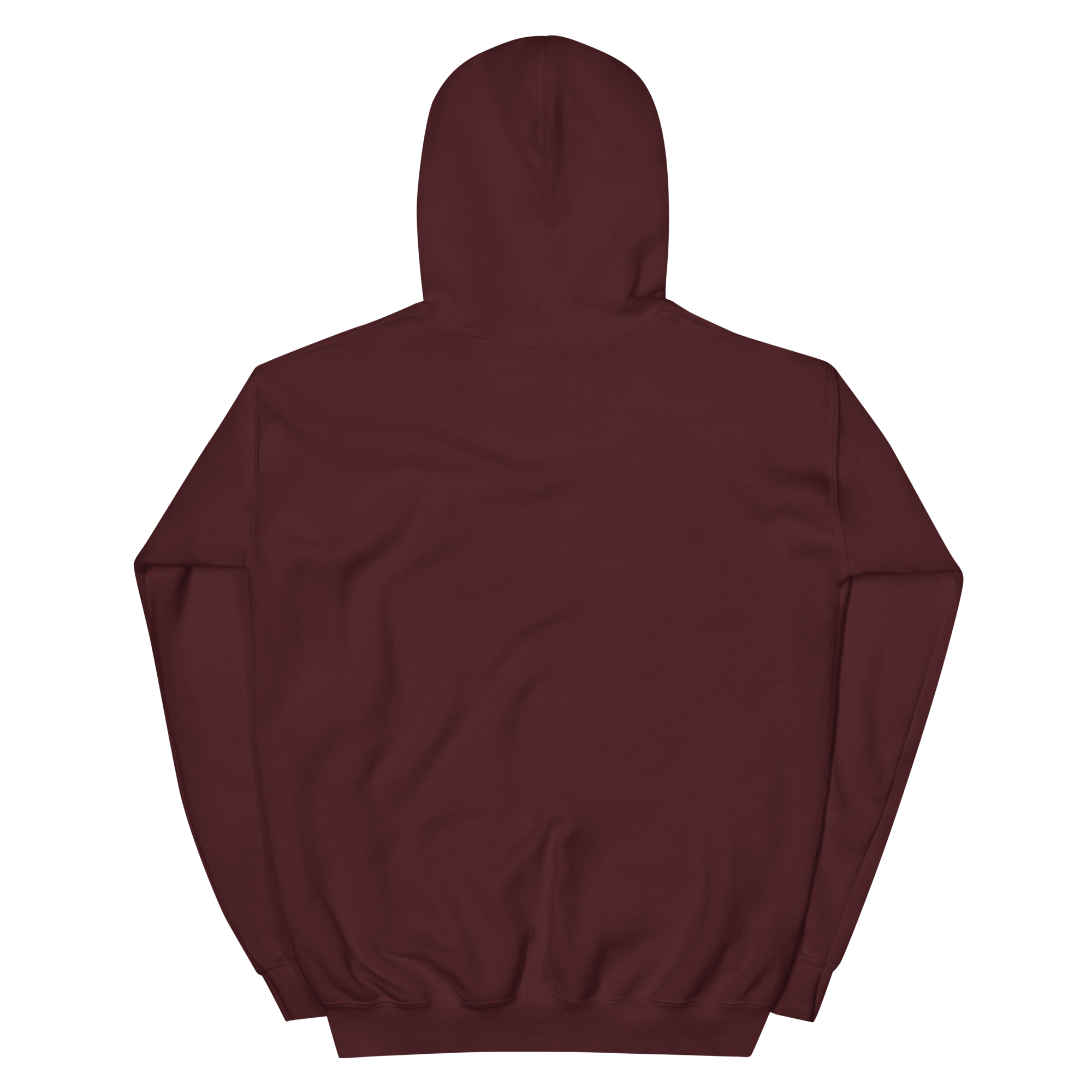 unisex-heavy-blend-hoodie-maroon-back-68f254286f8df.png