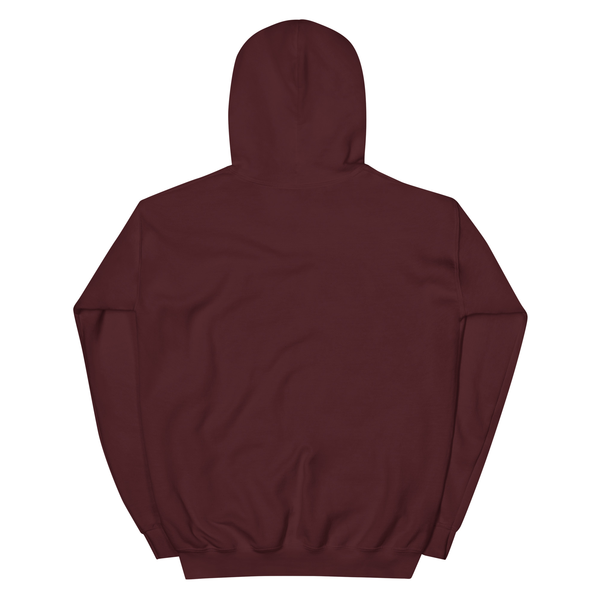 unisex-heavy-blend-hoodie-maroon-back-68f3aebf81321.jpg