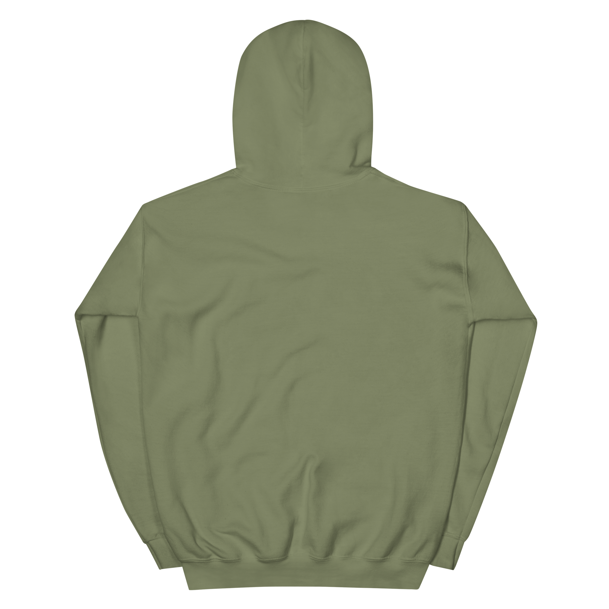 unisex-heavy-blend-hoodie-military-green-back-68f2542936f56.png