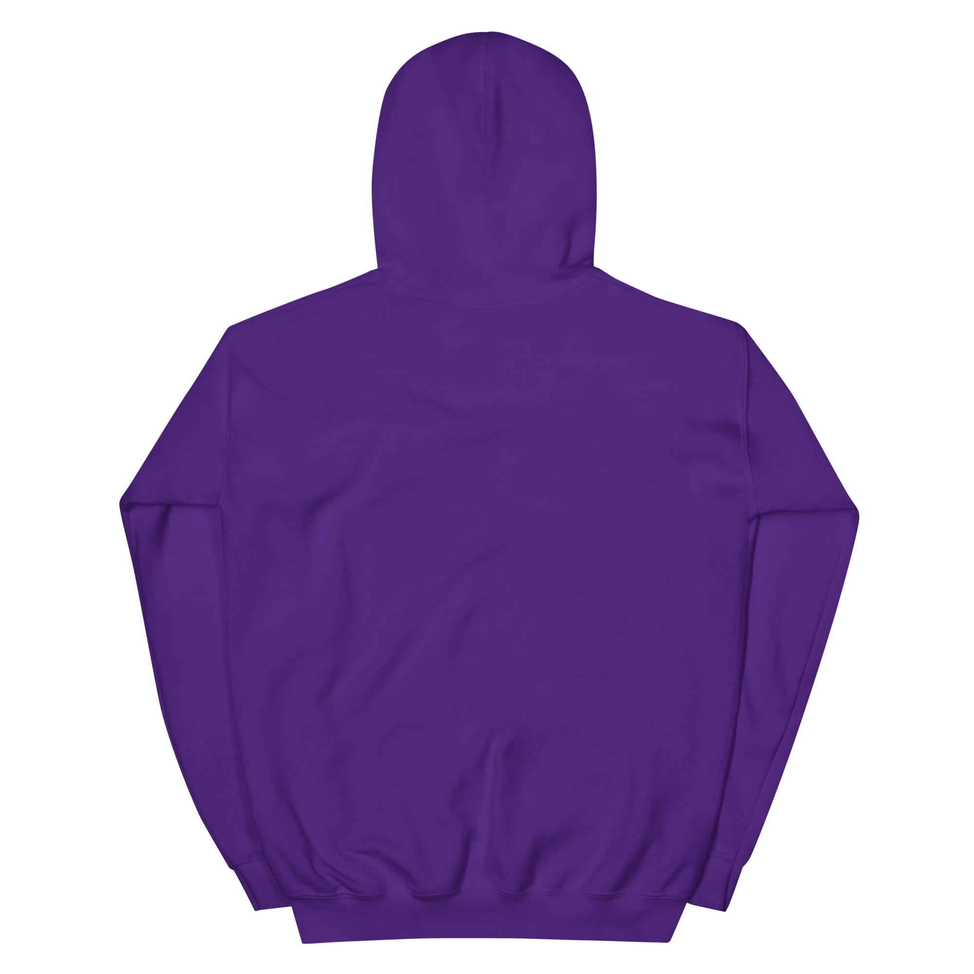 unisex-heavy-blend-hoodie-purple-back-68f2542887f54.png