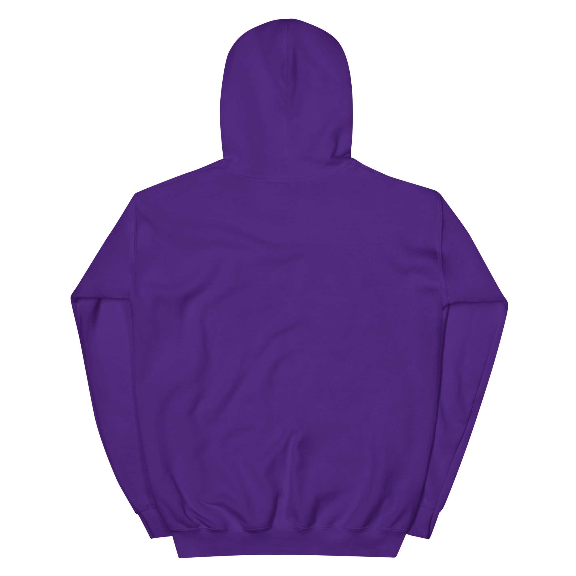 unisex-heavy-blend-hoodie-purple-back-68f3aebf98b03.jpg