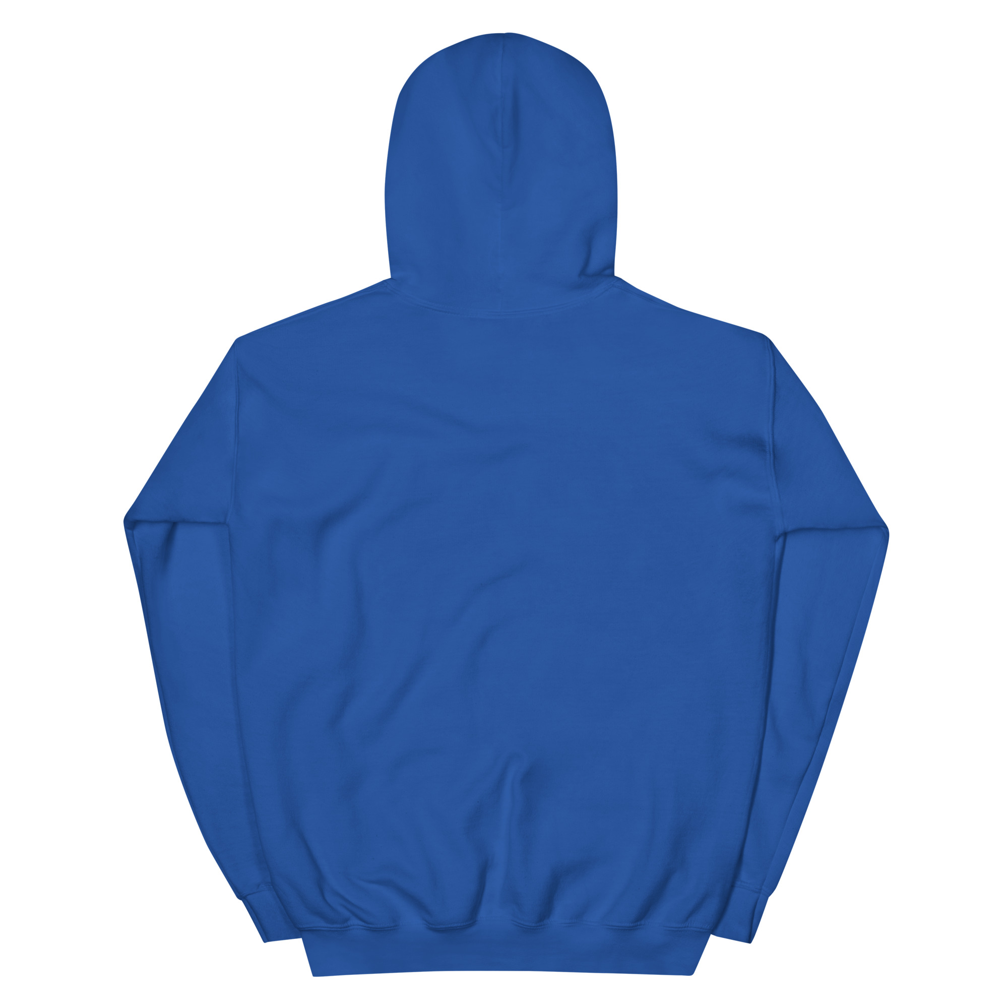 unisex-heavy-blend-hoodie-royal-back-68f3aebfc69e5.jpg