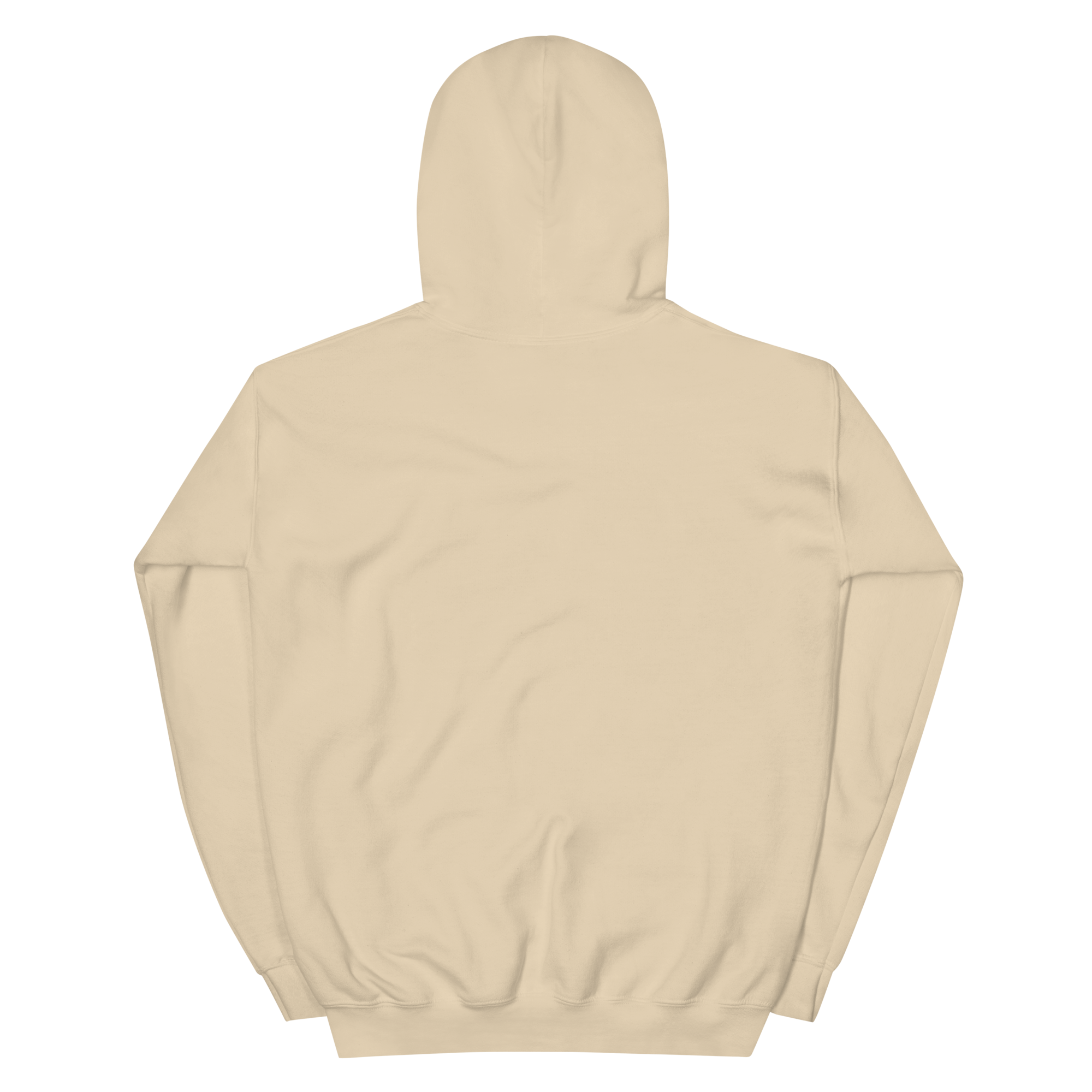 unisex-heavy-blend-hoodie-sand-back-68f25429c5c21.png