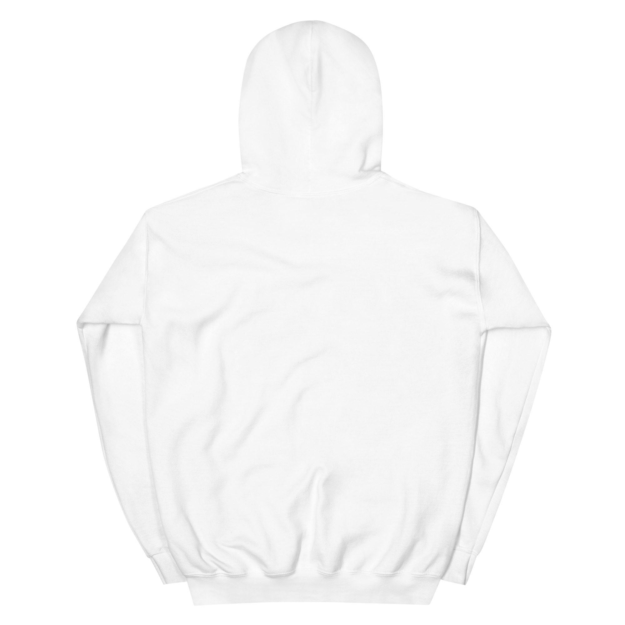 unisex-heavy-blend-hoodie-white-back-68f3aec19cf9f.jpg
