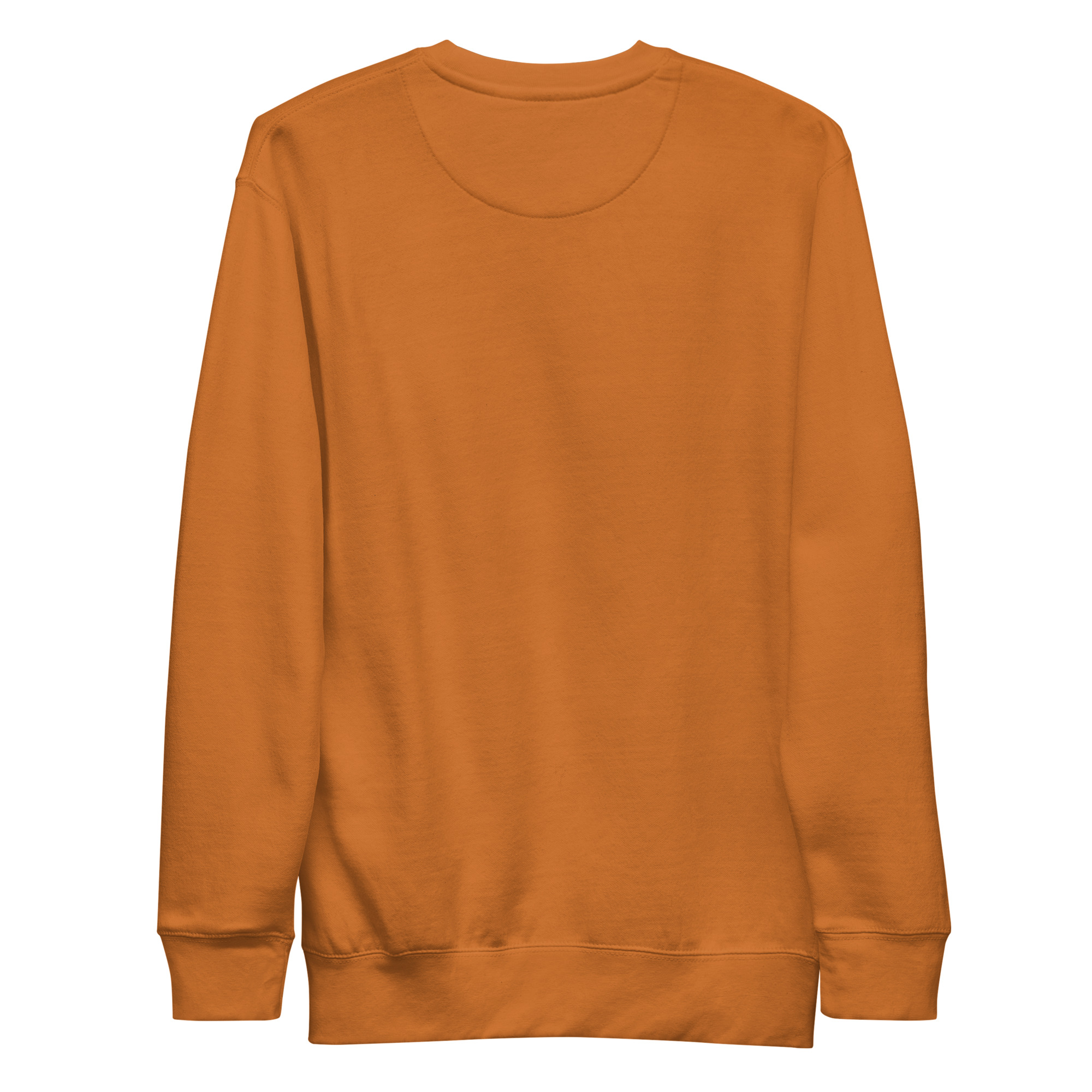 unisex-premium-sweatshirt-adobe-back-68f8e23a59a89.jpg