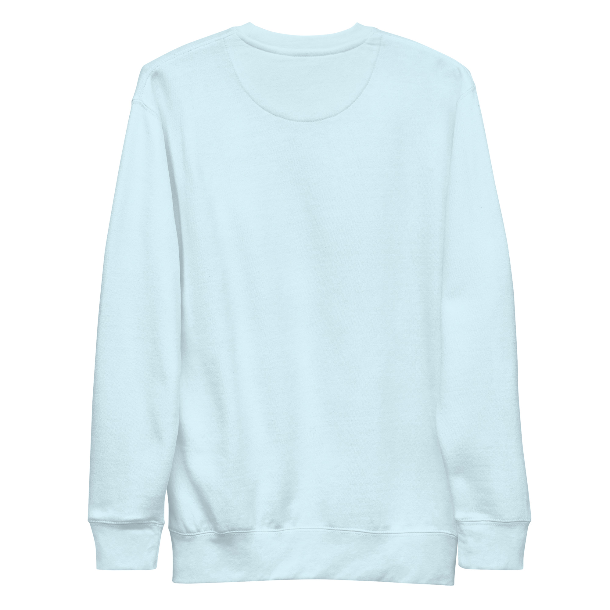unisex-premium-sweatshirt-sky-blue-back-68f8edf0e26bd.jpg