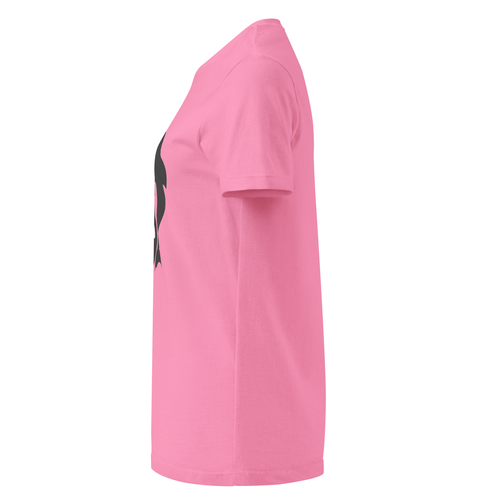 womens-basic-softstyle-t-shirt-azalea-left-68f10cce2966c.png