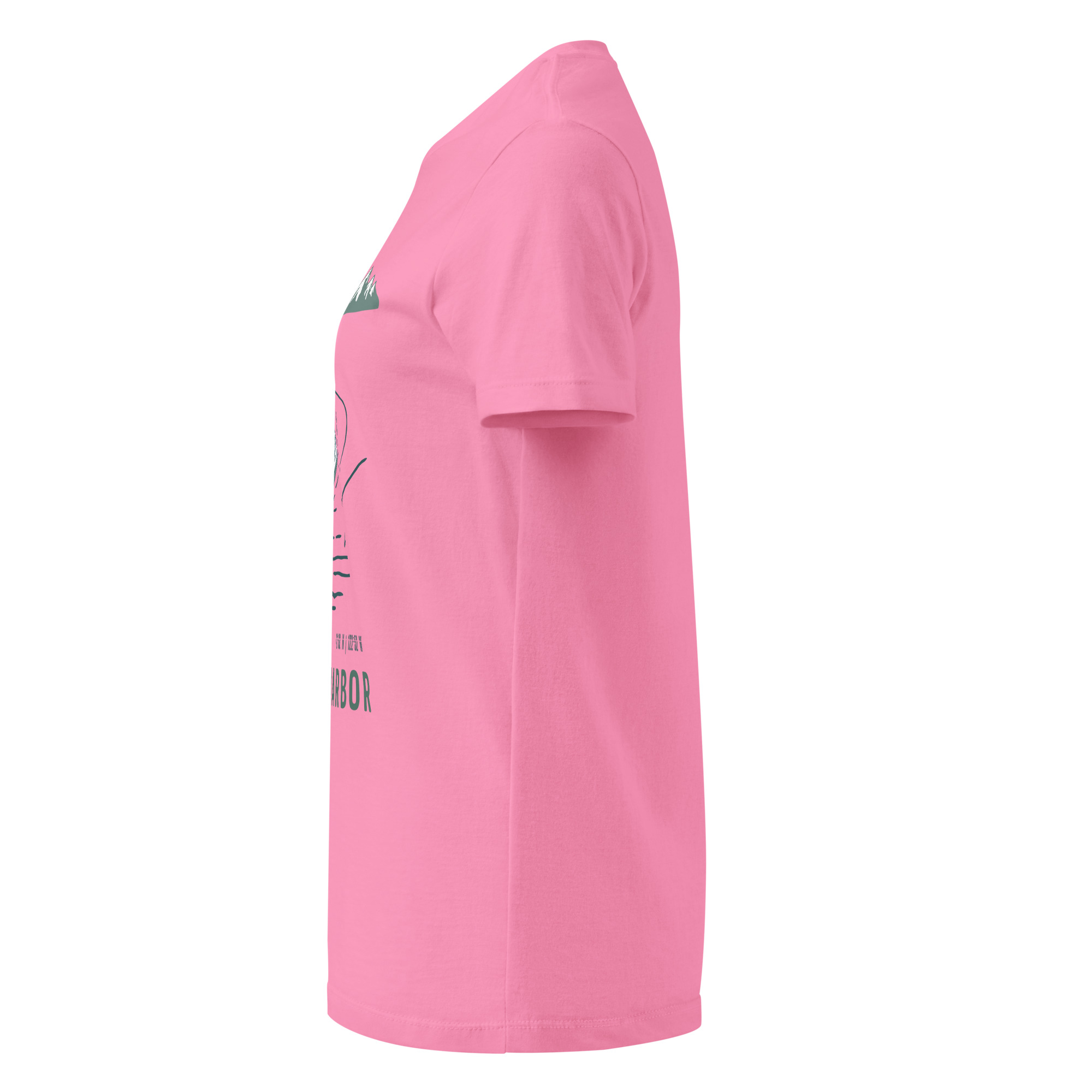 womens-basic-softstyle-t-shirt-azalea-left-68f8ec5c2ec72.jpg