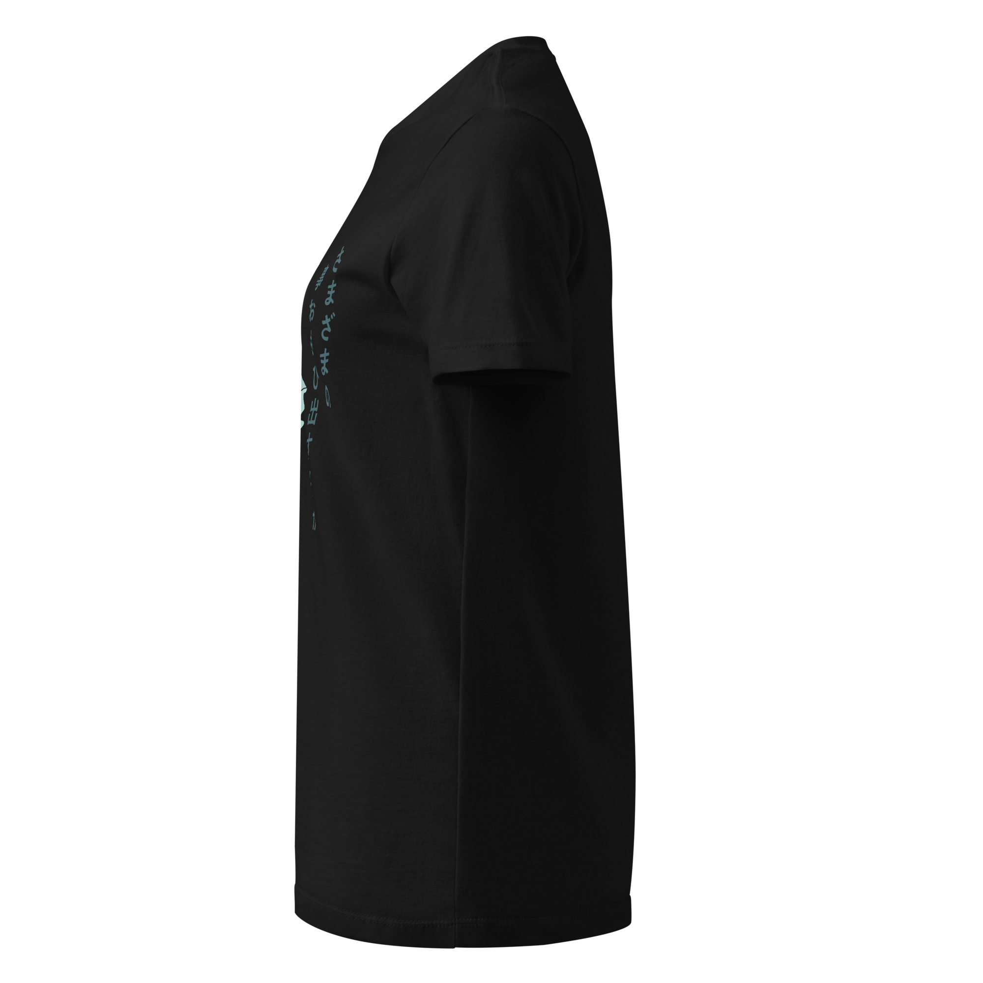 womens-basic-softstyle-t-shirt-black-left-68f257da11a47.png