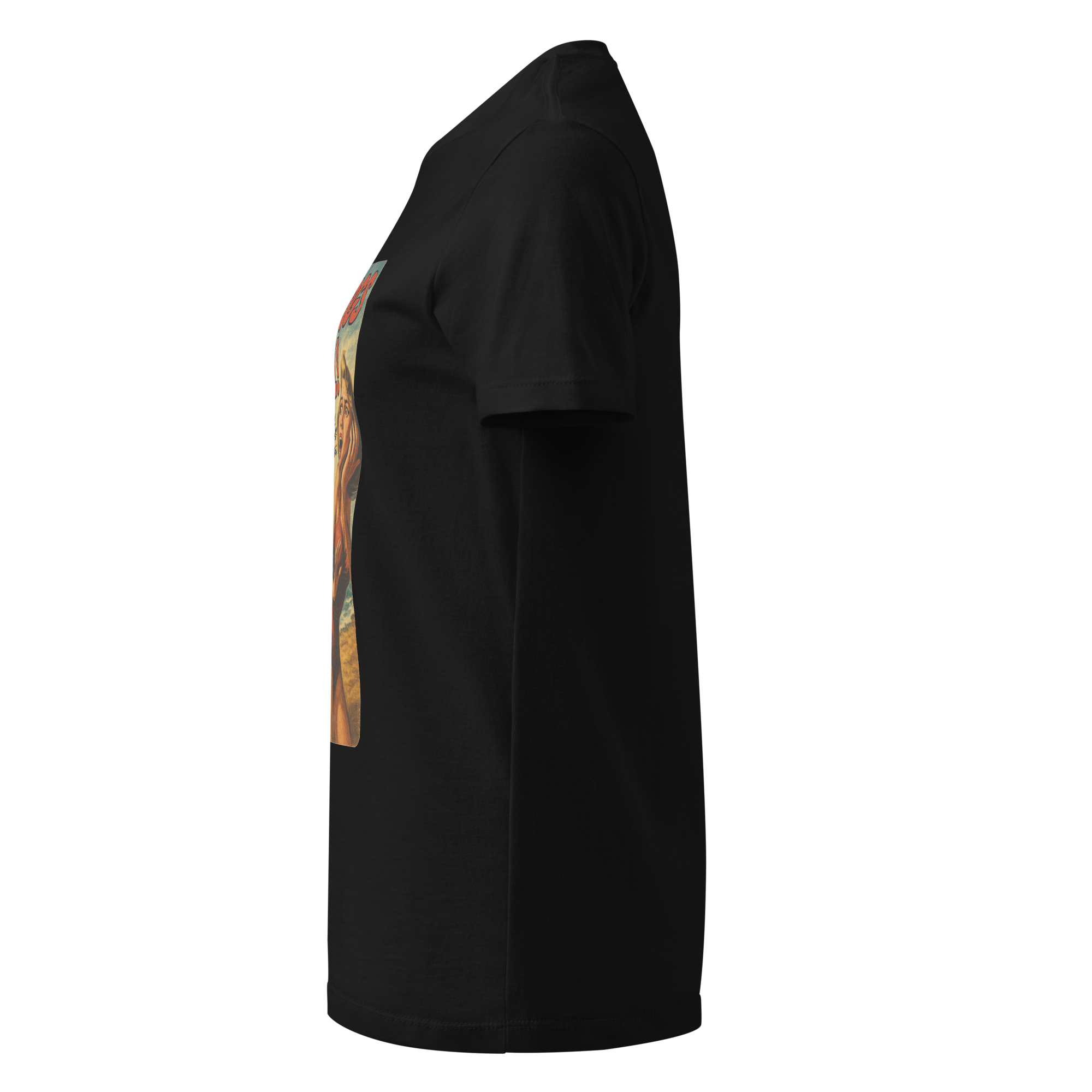 womens-basic-softstyle-t-shirt-black-left-68f8ec109e0d0.png