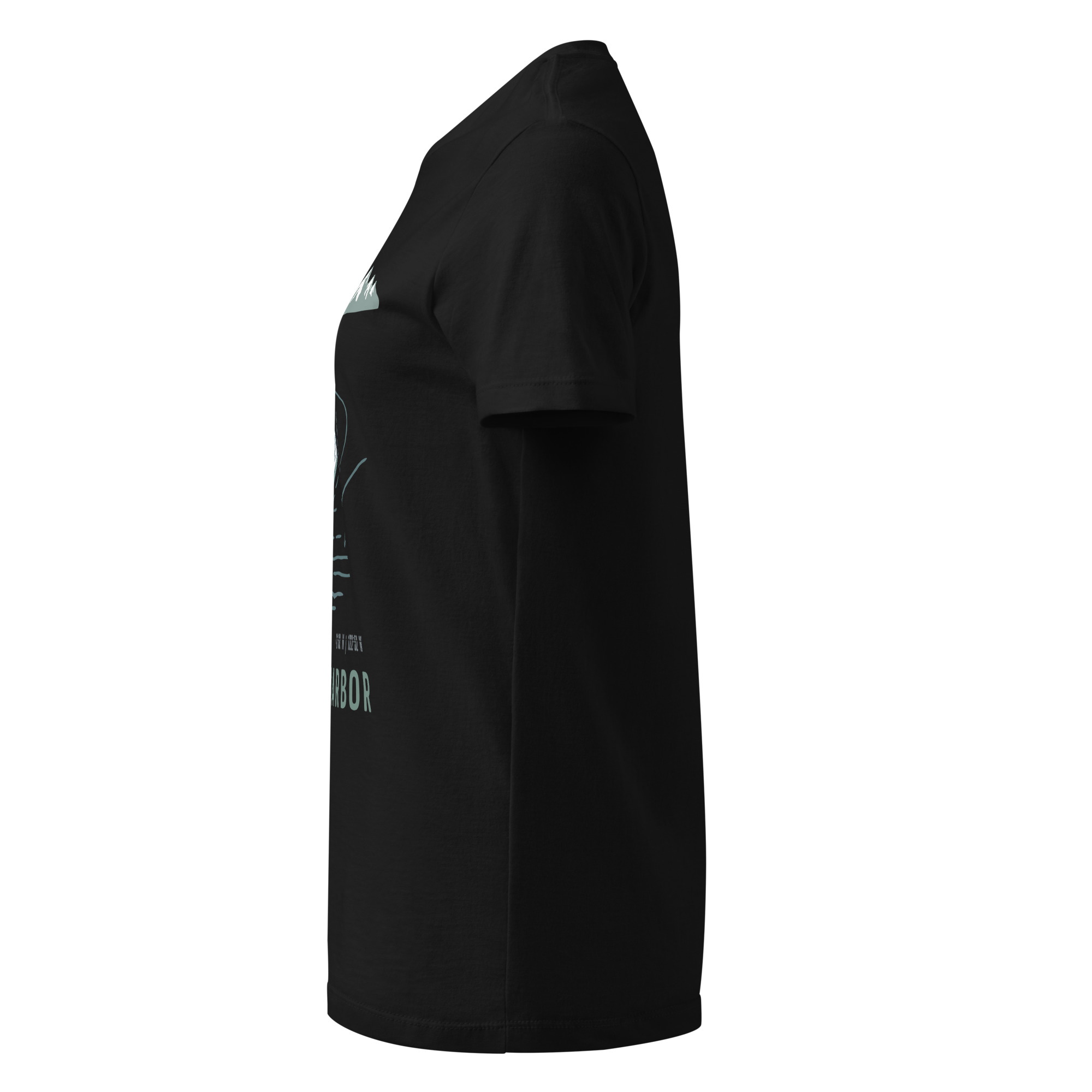 womens-basic-softstyle-t-shirt-black-left-68f8ec5c2b536.jpg