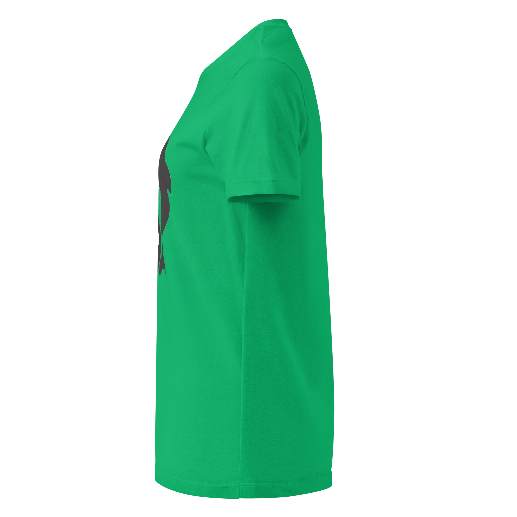 womens-basic-softstyle-t-shirt-irish-green-left-68f10cce2888d.png