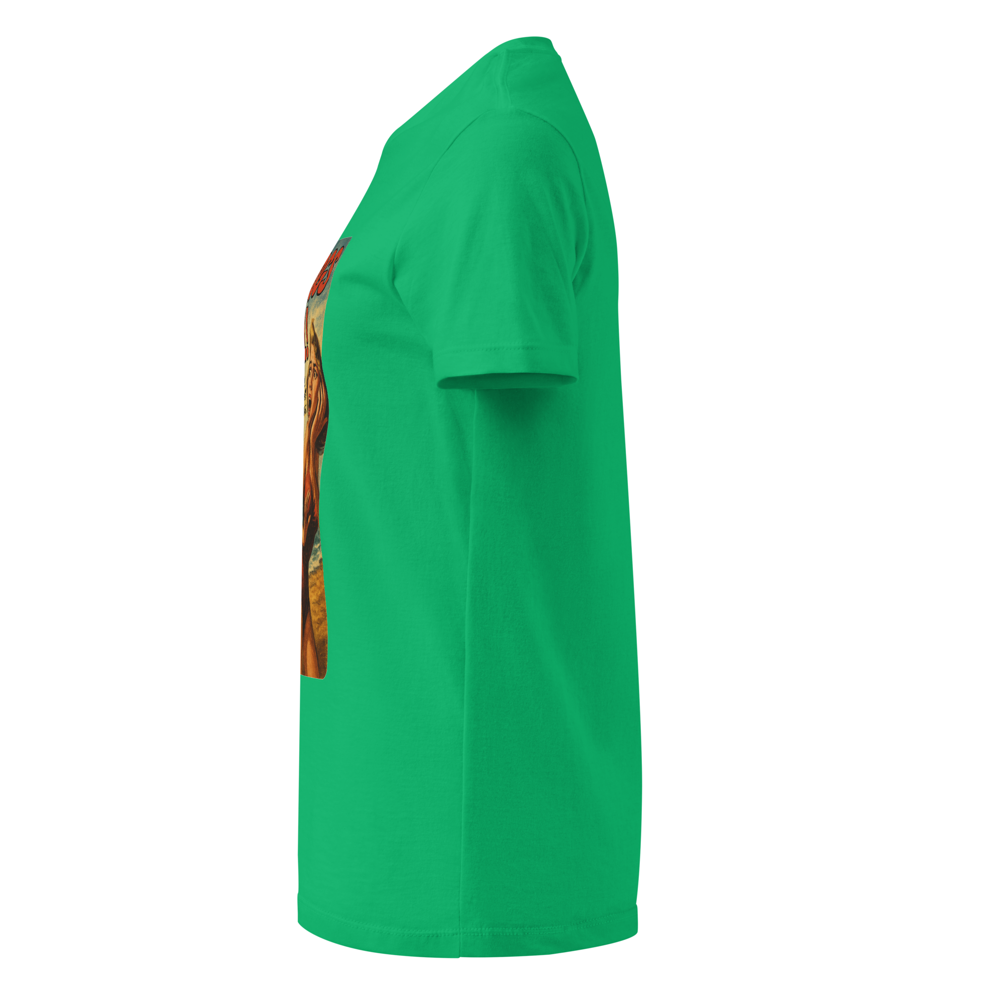 womens-basic-softstyle-t-shirt-irish-green-left-68f8ec10a2306.png
