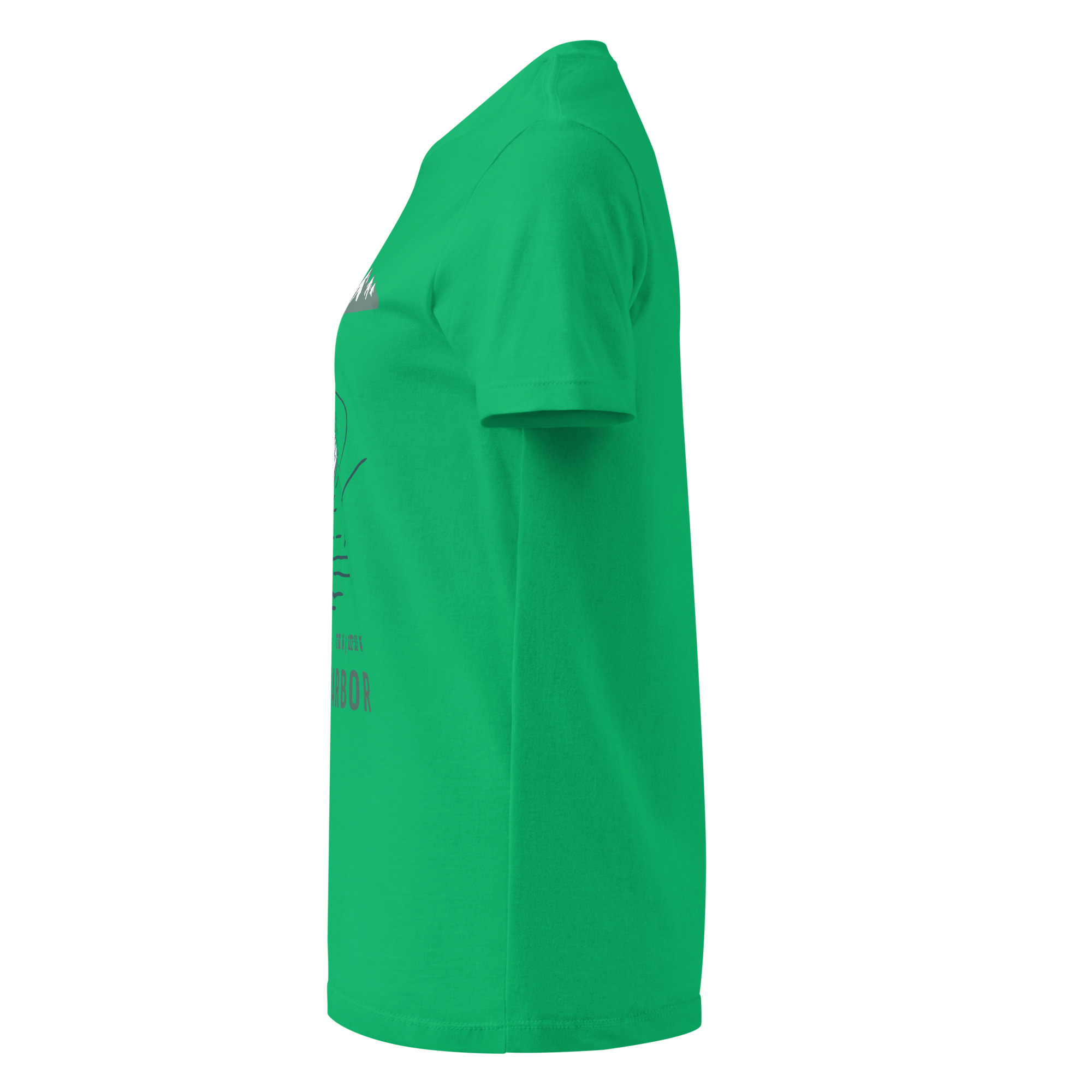 womens-basic-softstyle-t-shirt-irish-green-left-68f8ec5c2db89.jpg