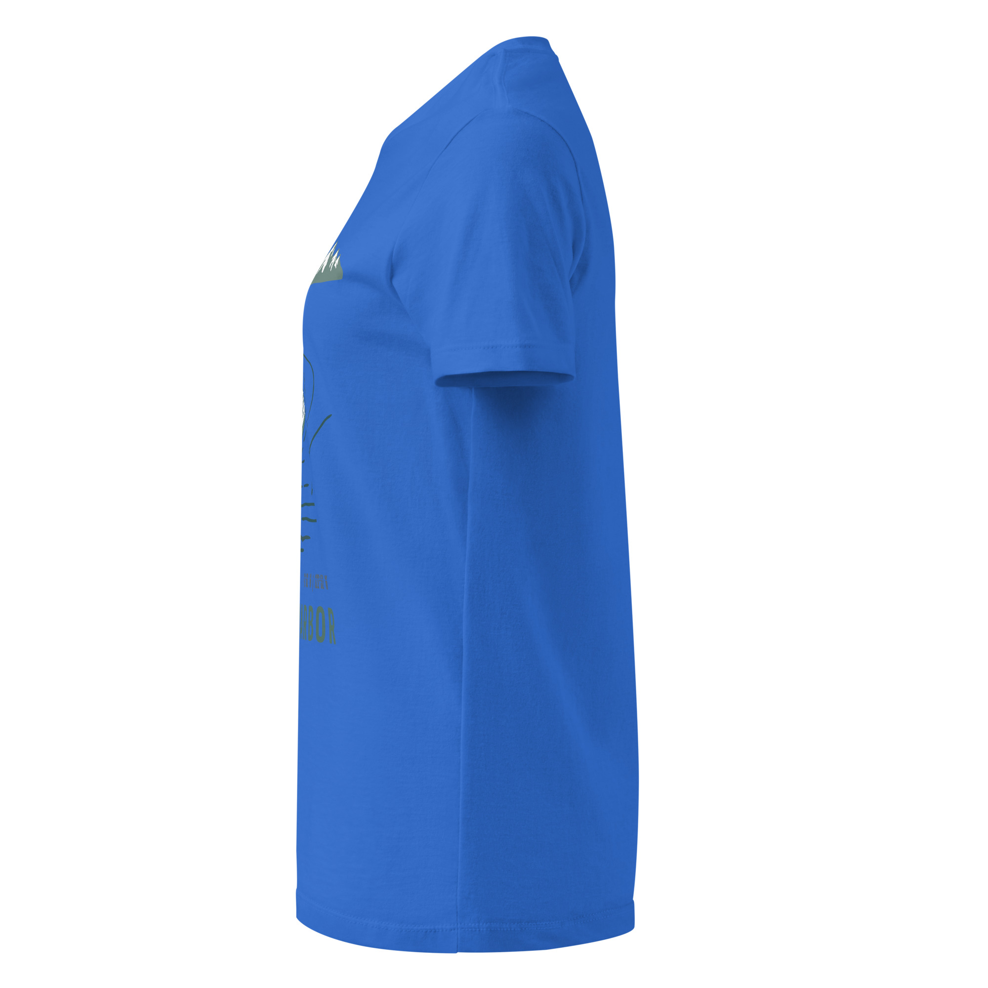 womens-basic-softstyle-t-shirt-royal-left-68f8ec5c2cdf5.jpg