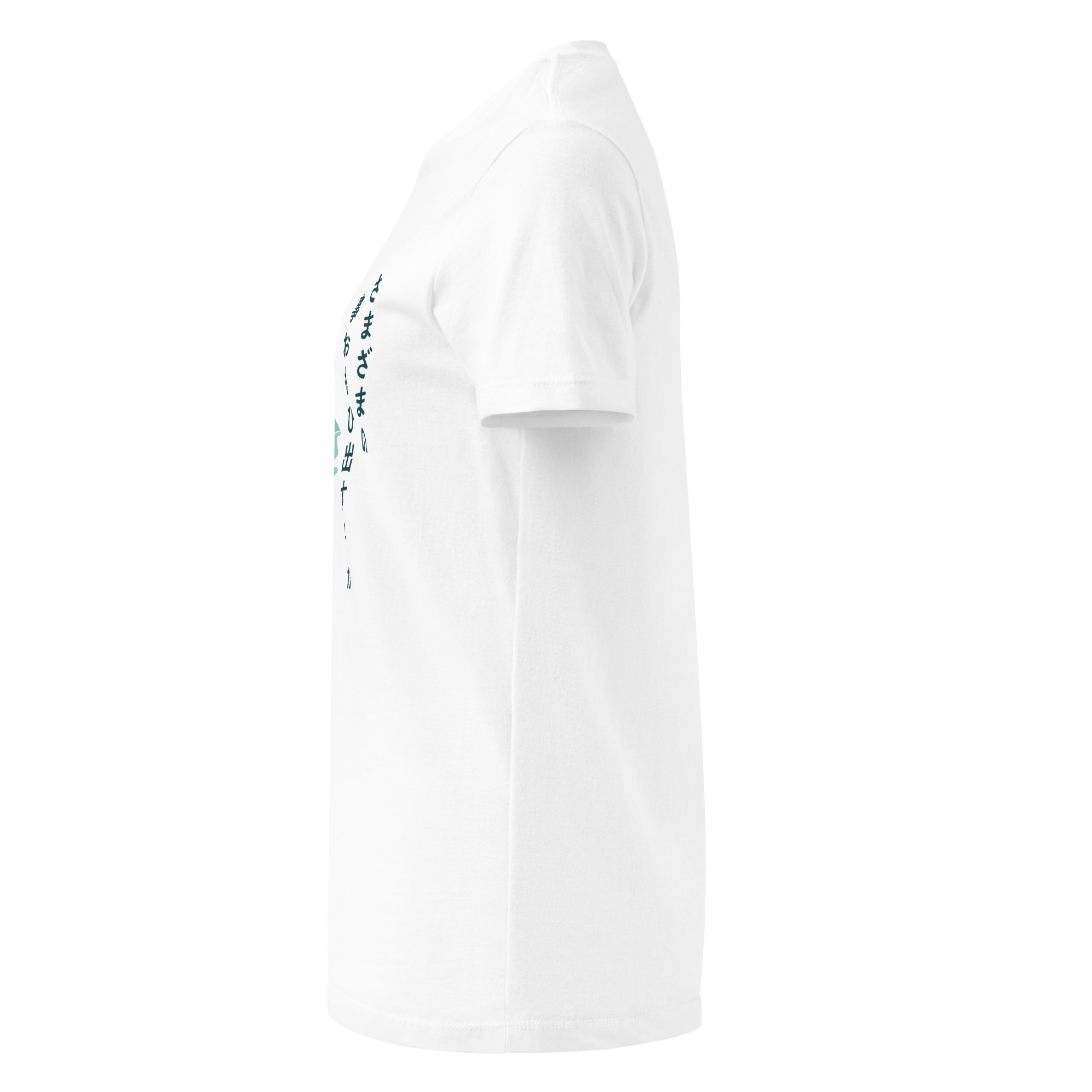 womens-basic-softstyle-t-shirt-white-left-68f257da19a54.png