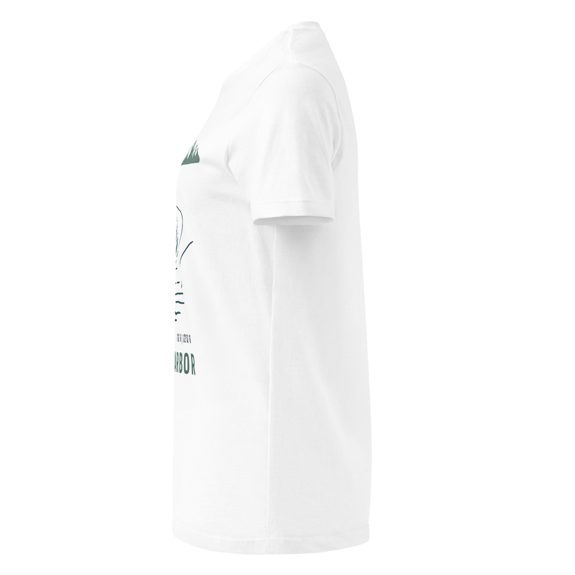 womens-basic-softstyle-t-shirt-white-left-68f8ec5c315db.jpg
