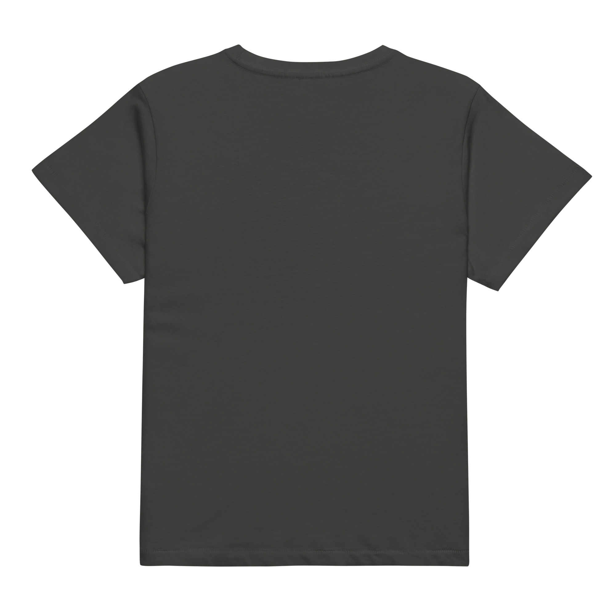womens-high-waisted-tee-vintage-black-back-68f10d28d78cd.jpg