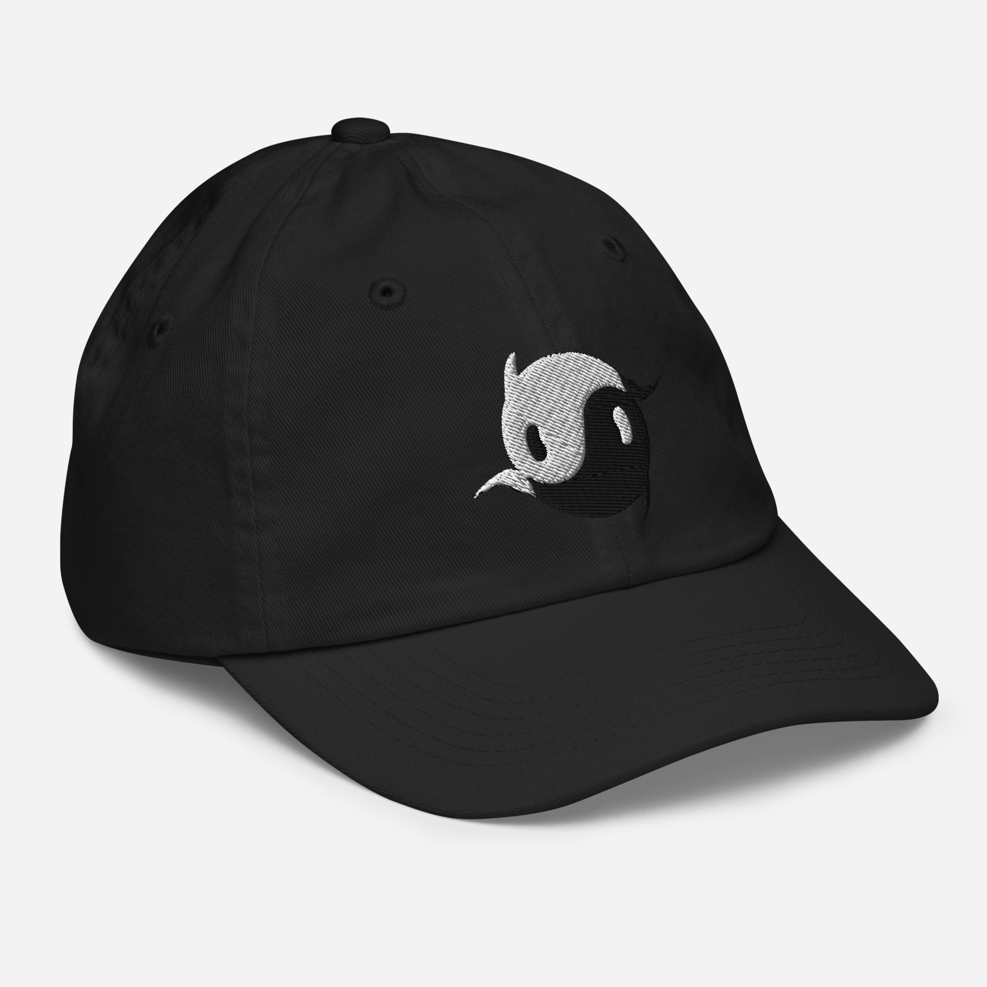 youth-baseball-cap-black-right-front-68f3bdad8dfd3.jpg