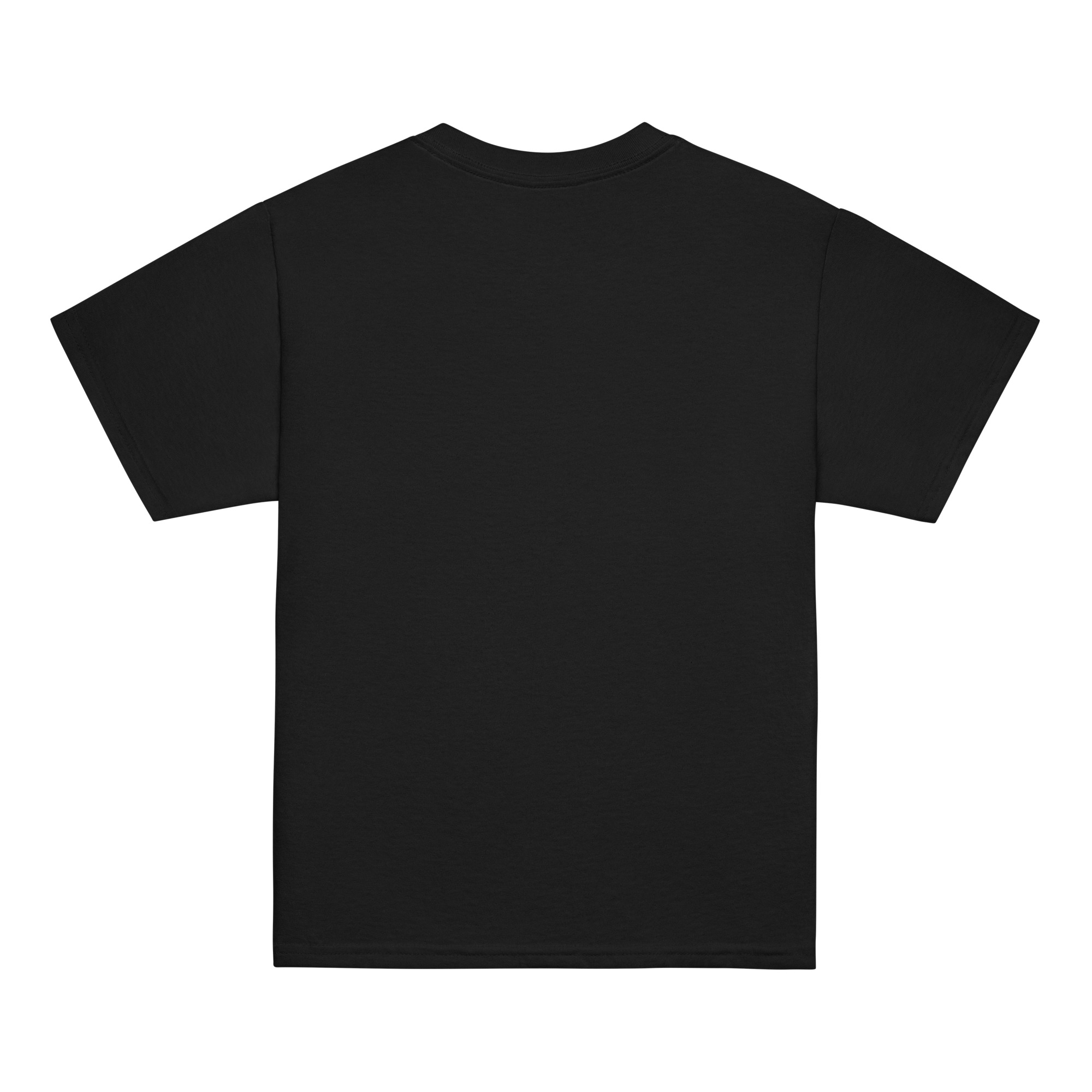 youth-classic-tee-black-back-68f8e09745fc0.jpg