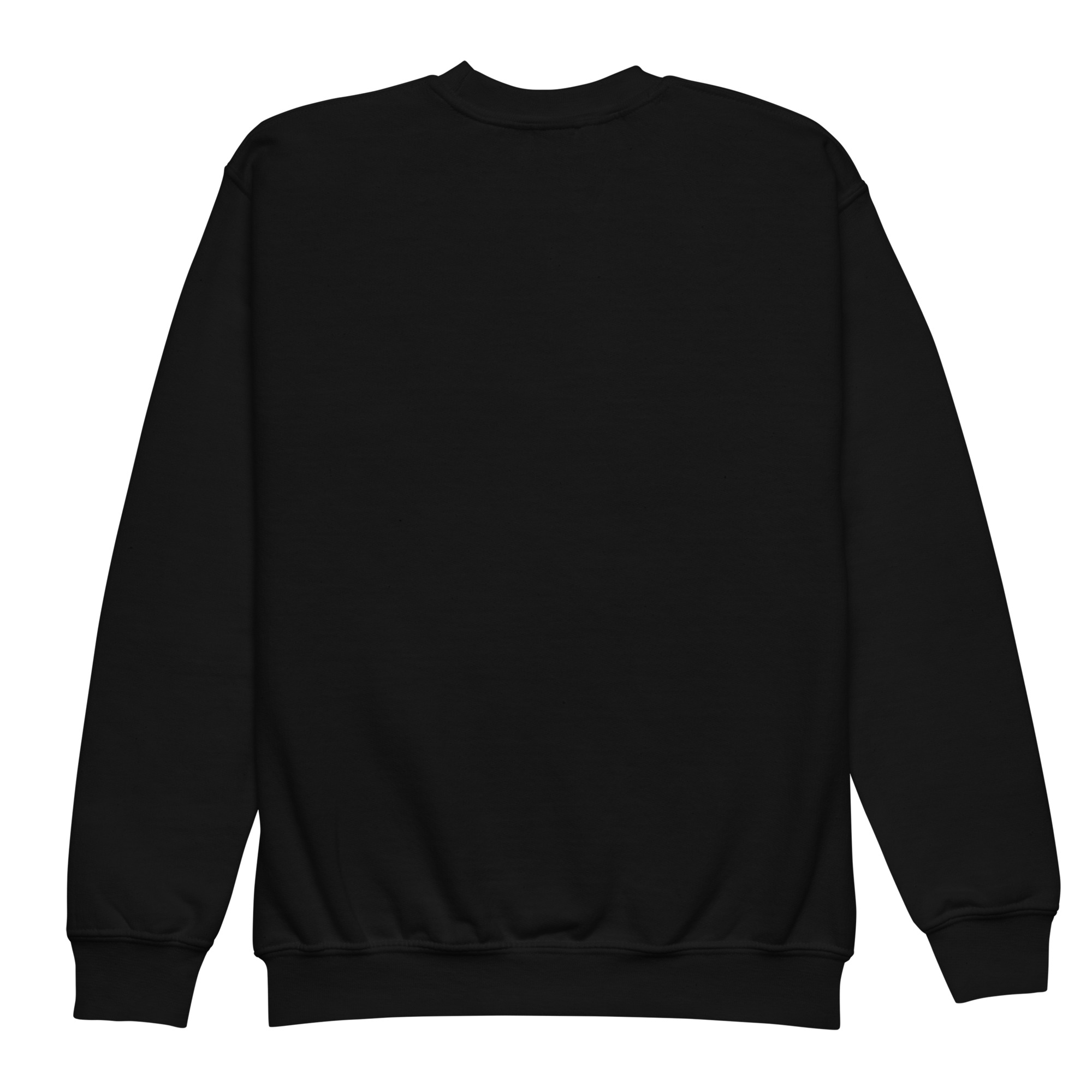 youth-crew-neck-sweatshirt-black-back-68f3bce096f30.jpg