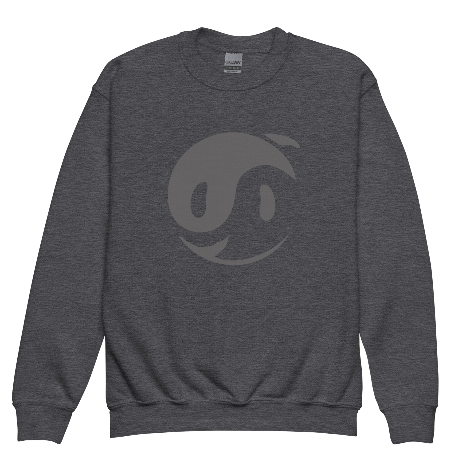 youth-crew-neck-sweatshirt-dark-heather-front-68f3a17a4cc0e.jpg